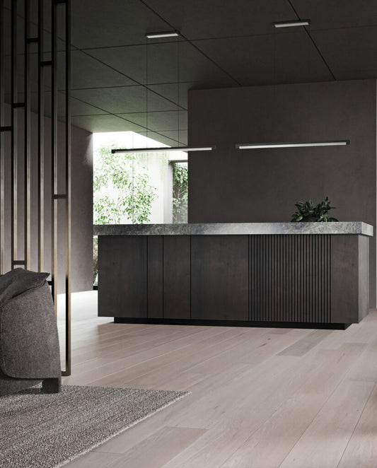 INLAY S1900 LINEAR Pendant Lamp in Matt Black and Satin Silver finish